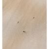Custom Distressed Sleeveless Tank Top | - Style DBDA18 - product detail view 10 Custom Distressed Sleeveless Tank Top | - Style DBDA18 - product detail view 10