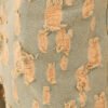 Custom Printed Drawcord Relaxed Shorts - Style 059843 - product detail view 5